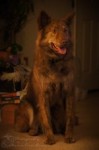 Wiley