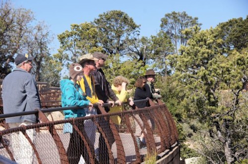 Grand Canyon Rim Tour