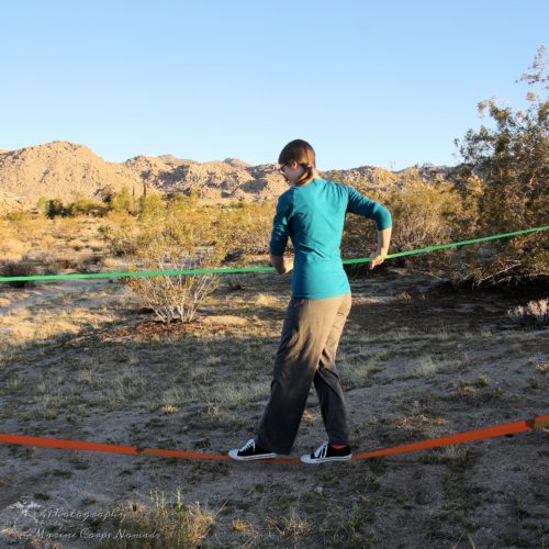 Munchkin figuring out the slackline