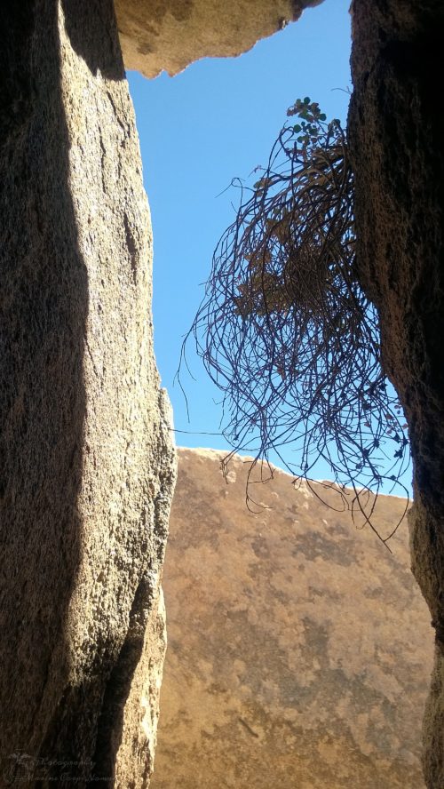 Looking up at the sky from within the cave