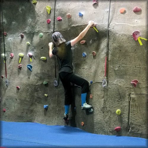 Munchkin climbing at the gym