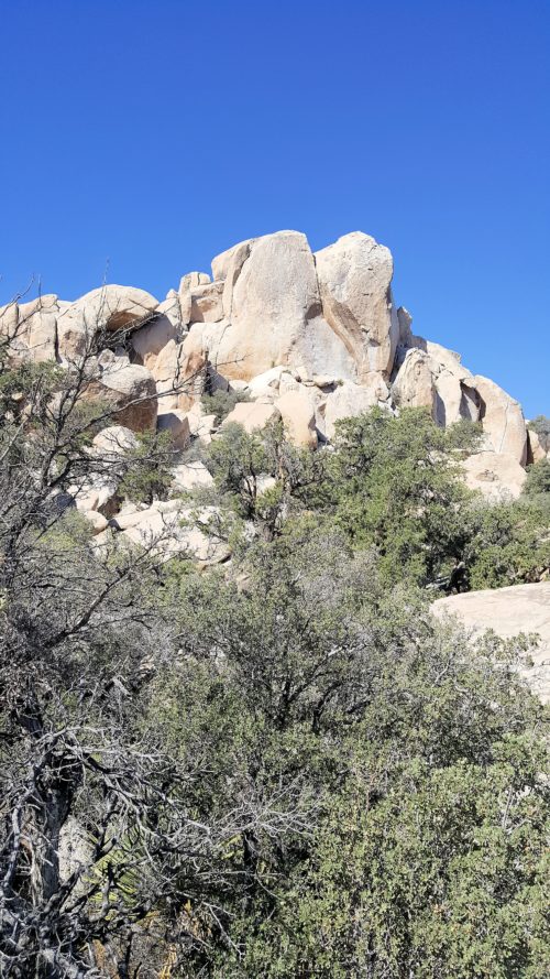 Rock formations in Joshua Tree National Park