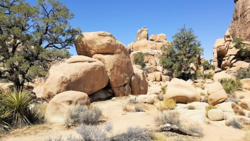 Rock formations in Joshua Tree National Park