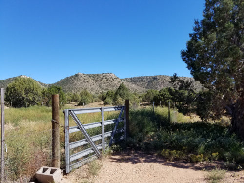 Homestead Pasture