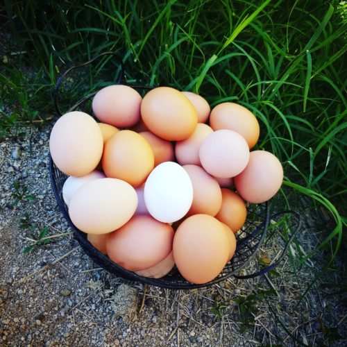 Eggs in a basket