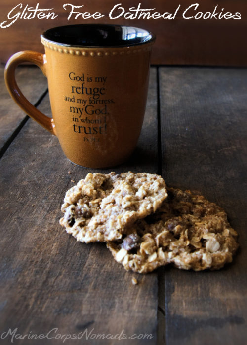 Gluten free oatmeal raisin cookies