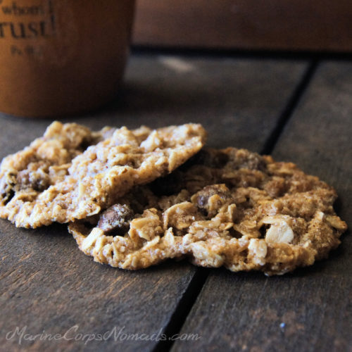 Gluten free oatmeal raisin cookies