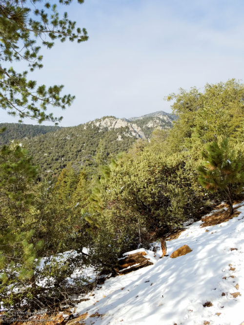 One of the many scenic views along the trail