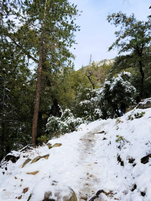 The snowy path ahead