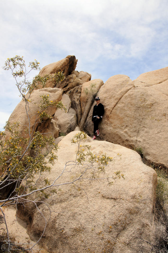 Exploring Joshua Tree featuring Pact Organic