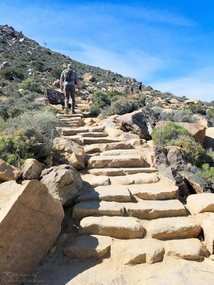 Ryan Mountain Trail Hike