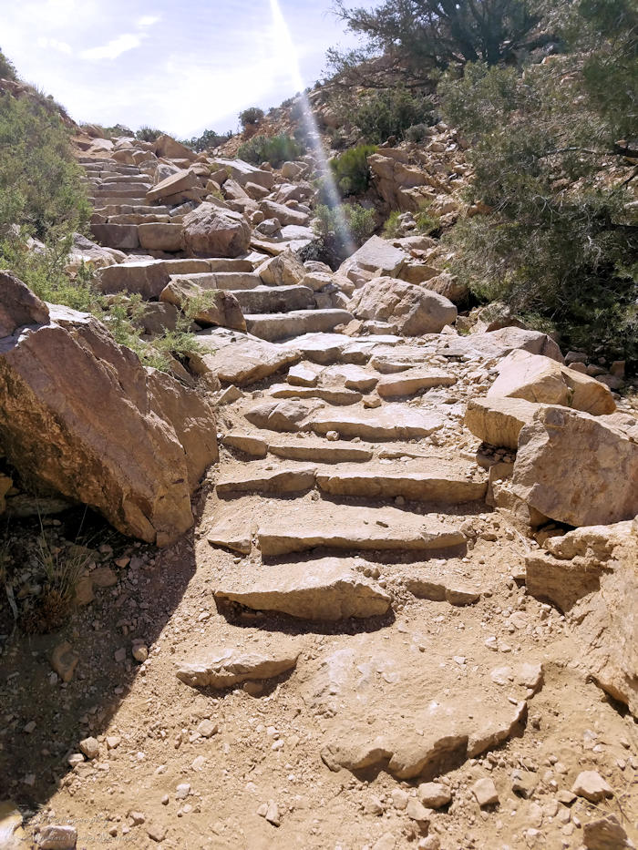 Ryan Mountain Trail Hike