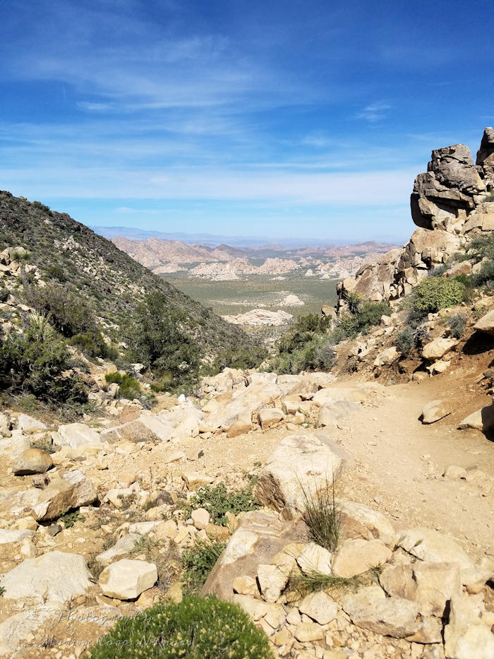 Ryan Mountain Trail Hike