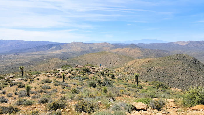 Ryan Mountain Trail Hike