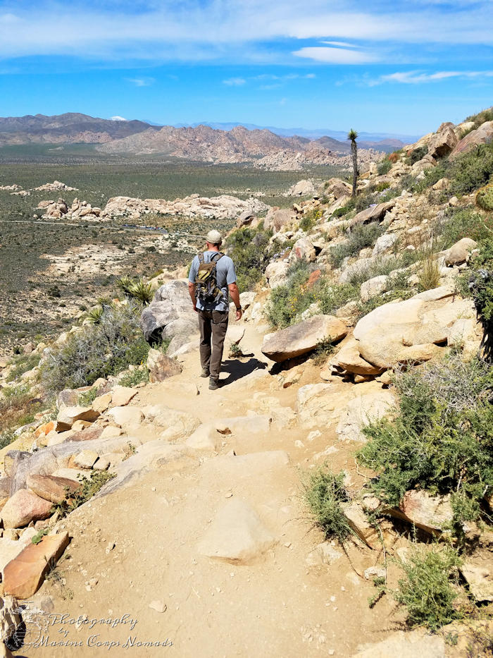 Ryan Mountain Trail Hike