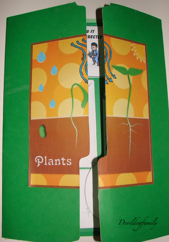 plant lapbook cover