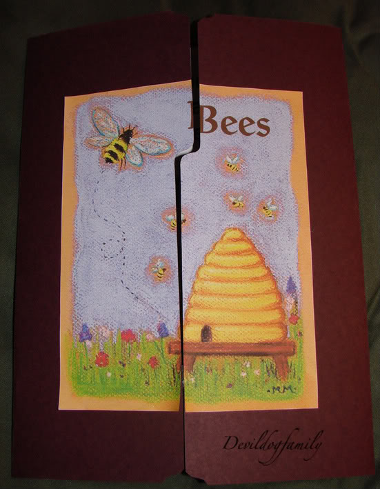 Bees Lapbook