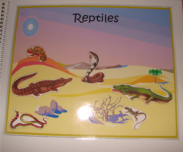 Reptile Lapbook