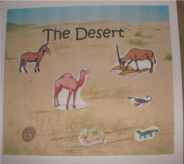 Desert Lapbook