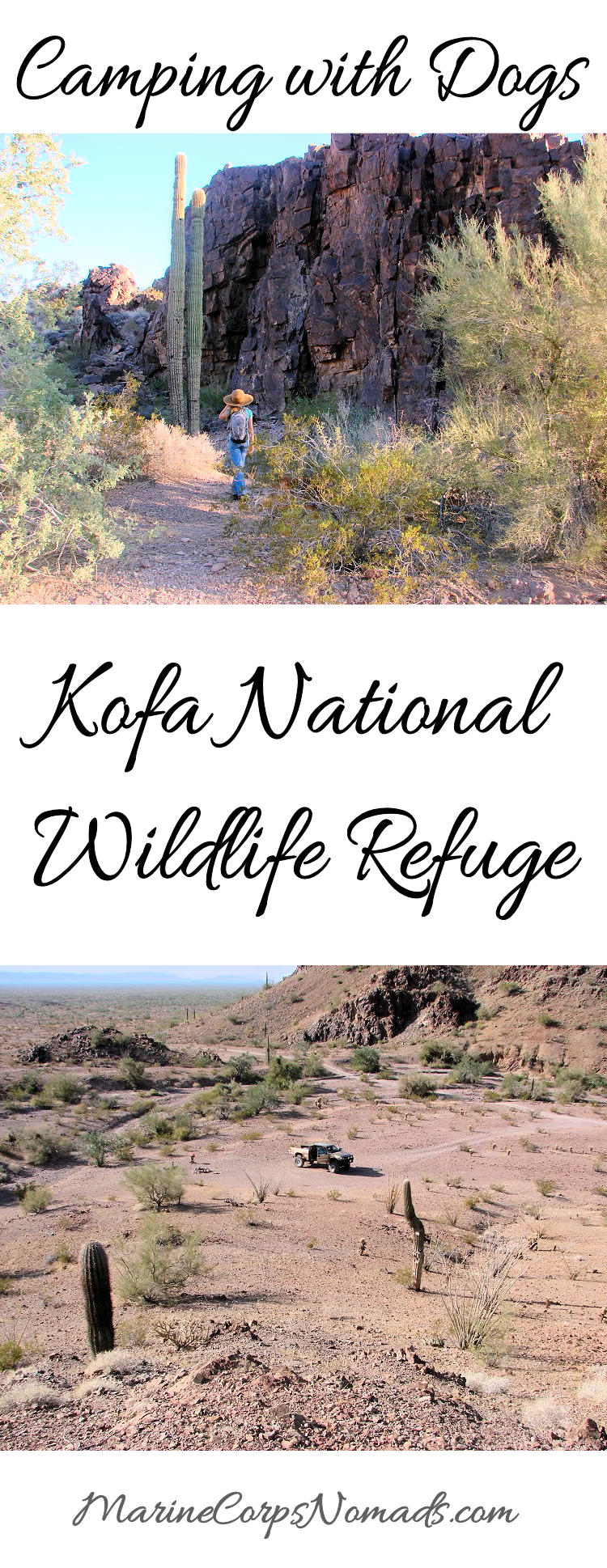 Camping in Kofa National Wildlife Refuge | Camping with Dogs | Hiking with Dogs | Explore Arizona | Marine Corps Nomads