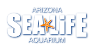 Arizona Sea Life Aquarium