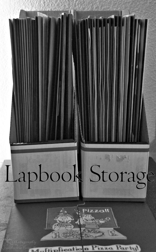 Lapbook Storage