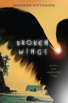 Broken Wings by Shannon Dittemore