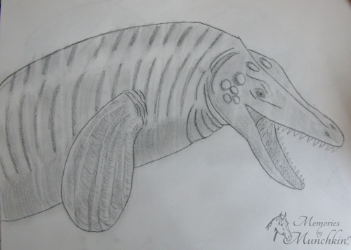 Sketch of Mosasaurus
