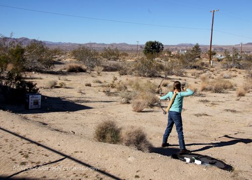 Archery Practice Taking the Shot