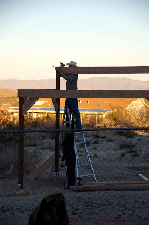 Building Stalls Together