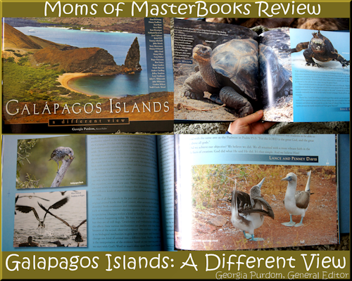 Galapagos Islands Book Review