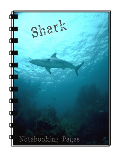 Shark Notebooking Pages