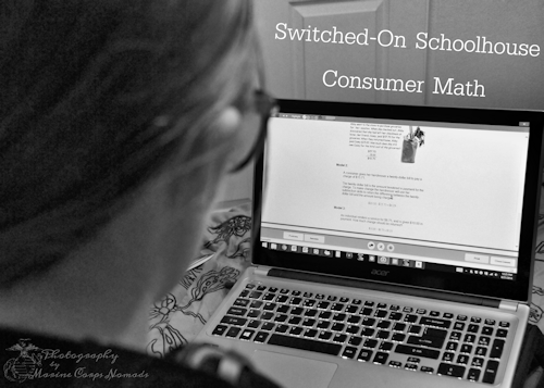 Switch-On Schoolhouse Consumer Math