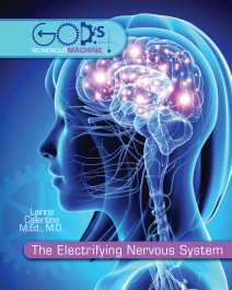 The Electrifying Nervous System by Lainna Callentine MD