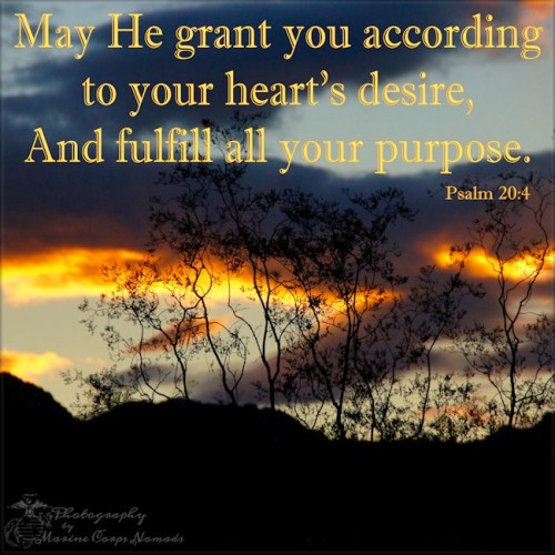 May He grant you according to your heart's desire, and fulfill all your purpose. Psalm 20:4