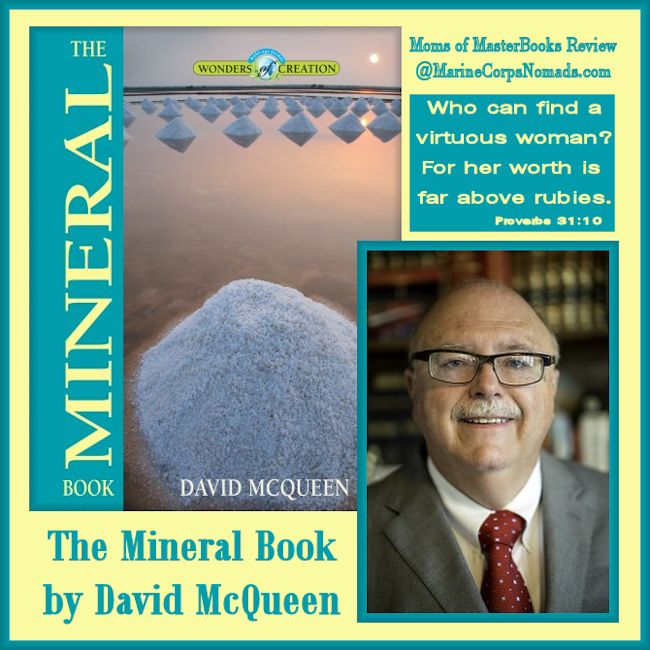 The Mineral Book by David McQueen Review