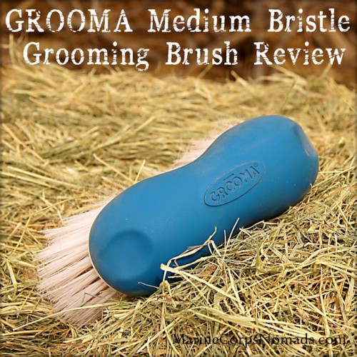 GROOMA Medium Bristle Grooming Brush Review