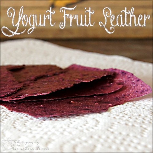 Yogurt Fruit Leather