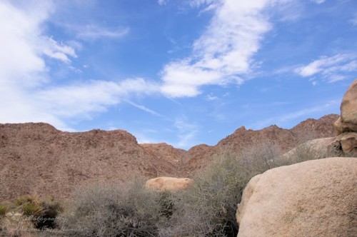Enjoying the beautiful rocky desert landscape