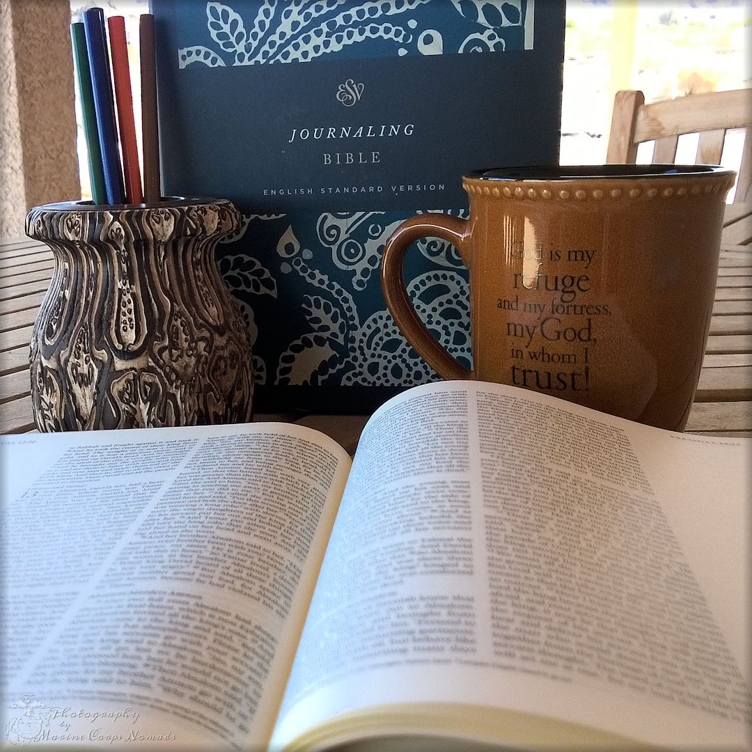 Giveaway for the ESV Journaling Bible from Crossway