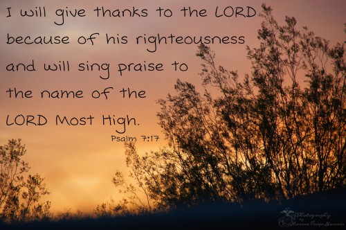Psalm 7:17 Give thanks to the Lord