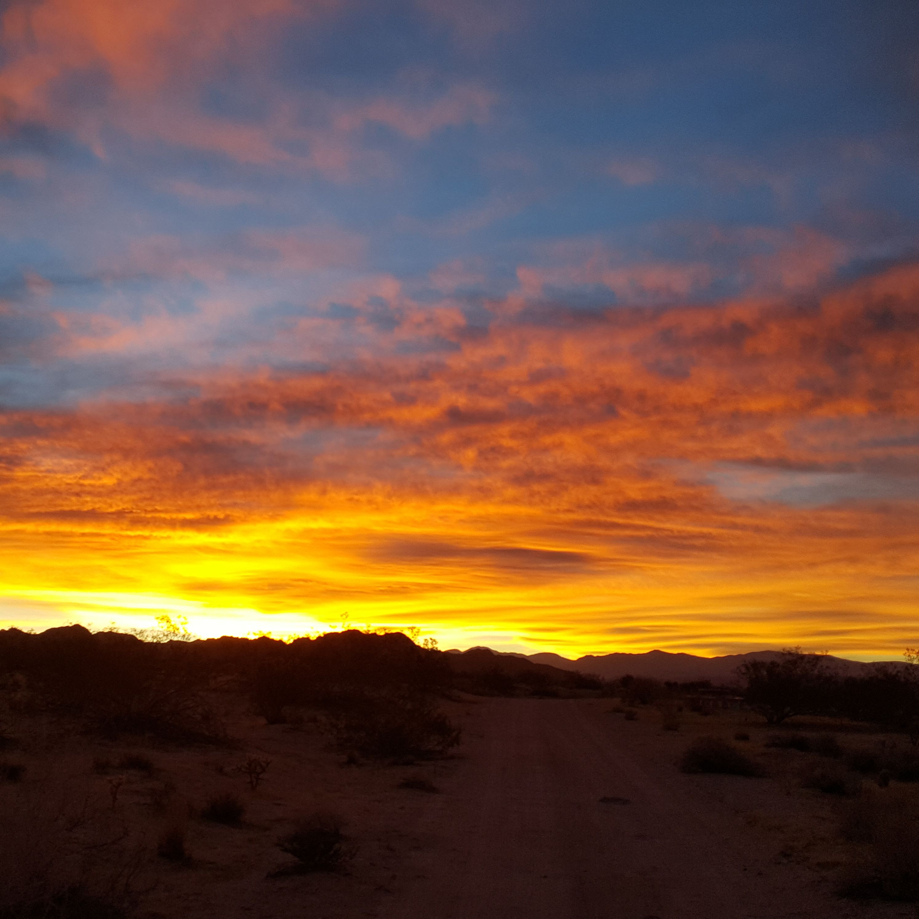 A beautiful Valentine's Sunset Walk