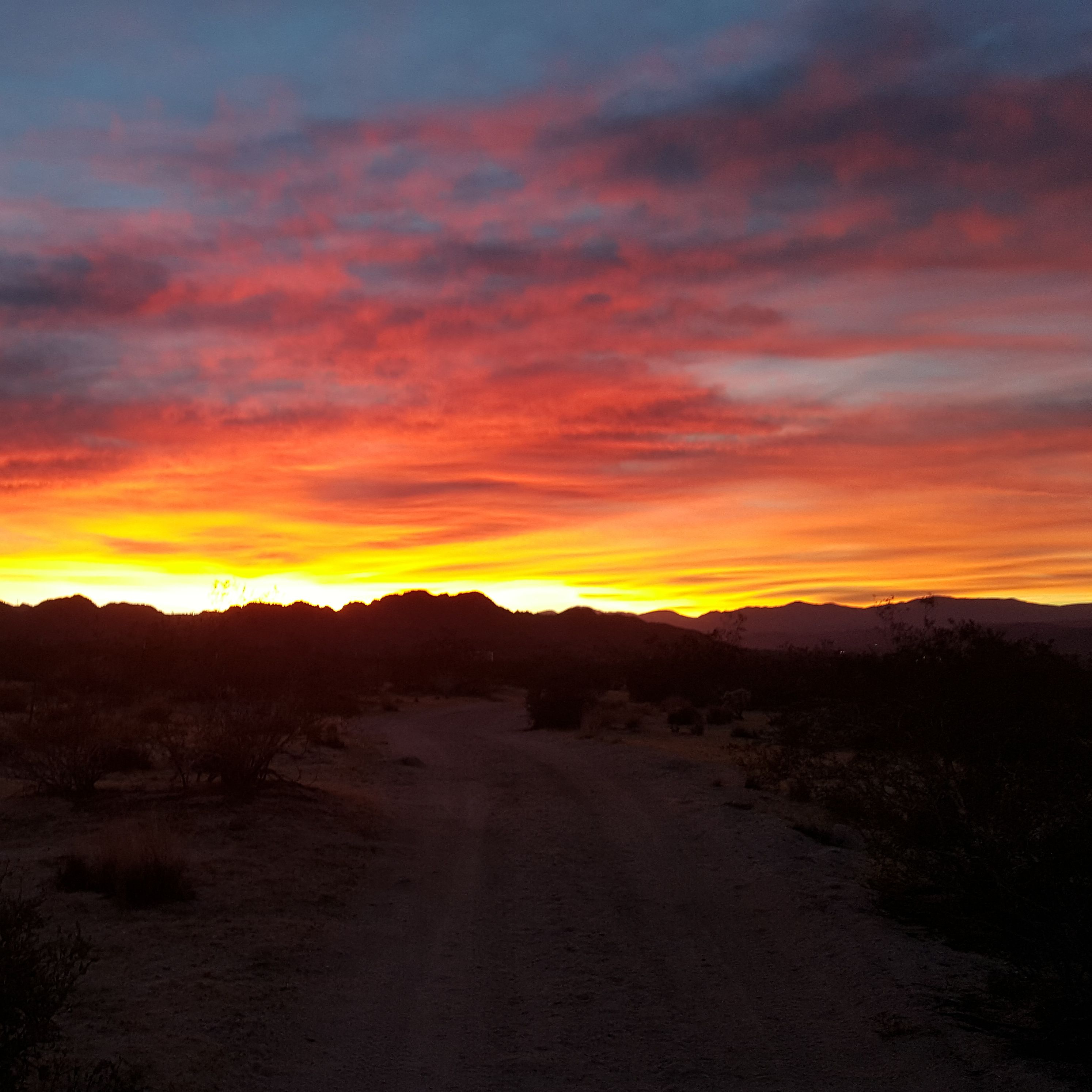 A beautiful Valentine's Sunset Walk