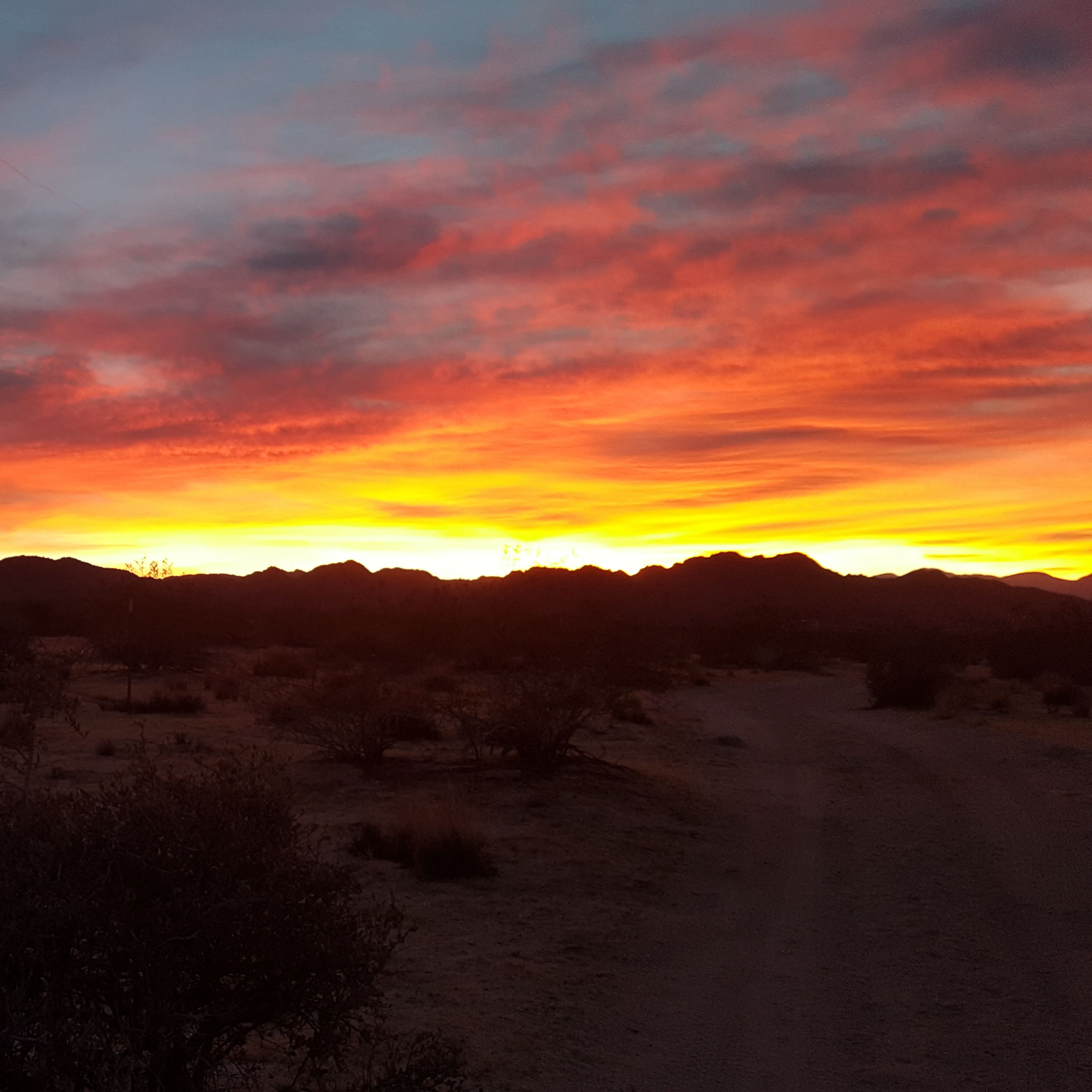 A beautiful Valentine's Sunset Walk