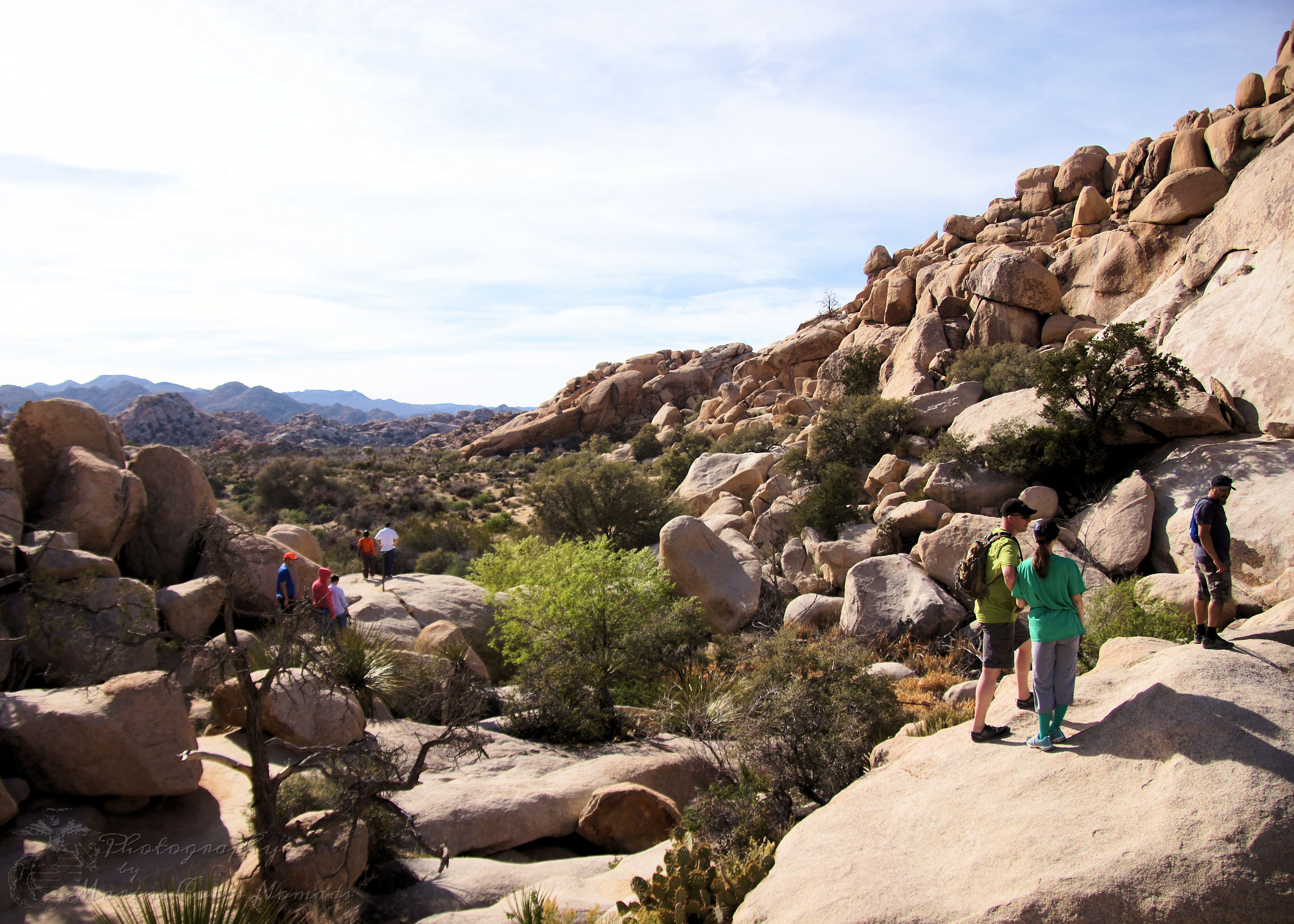 Looking at Barker Dam