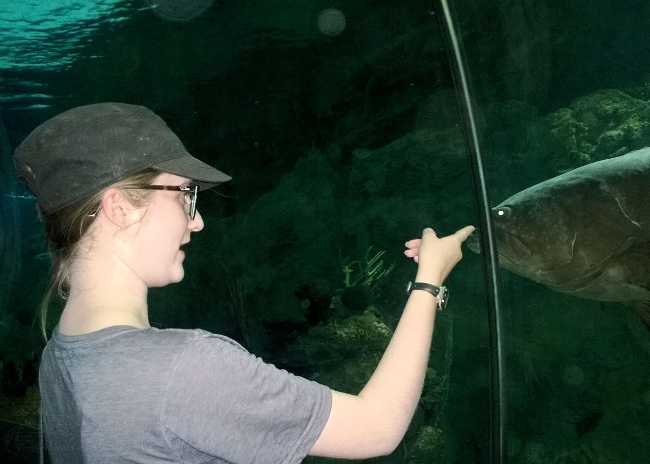 Visiting the aquarium at Sea World