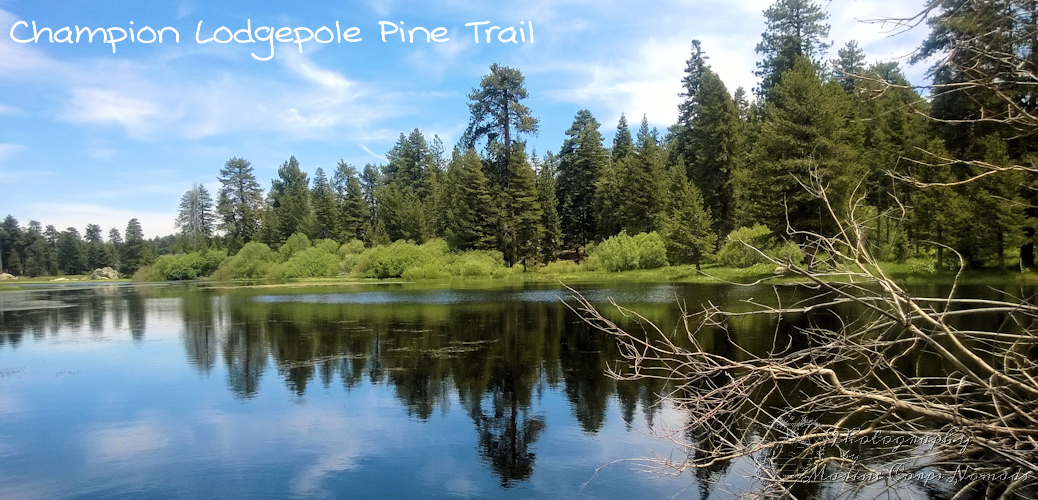 Hiking Champion Lodgepole Pine Trail, Big Bear, CA