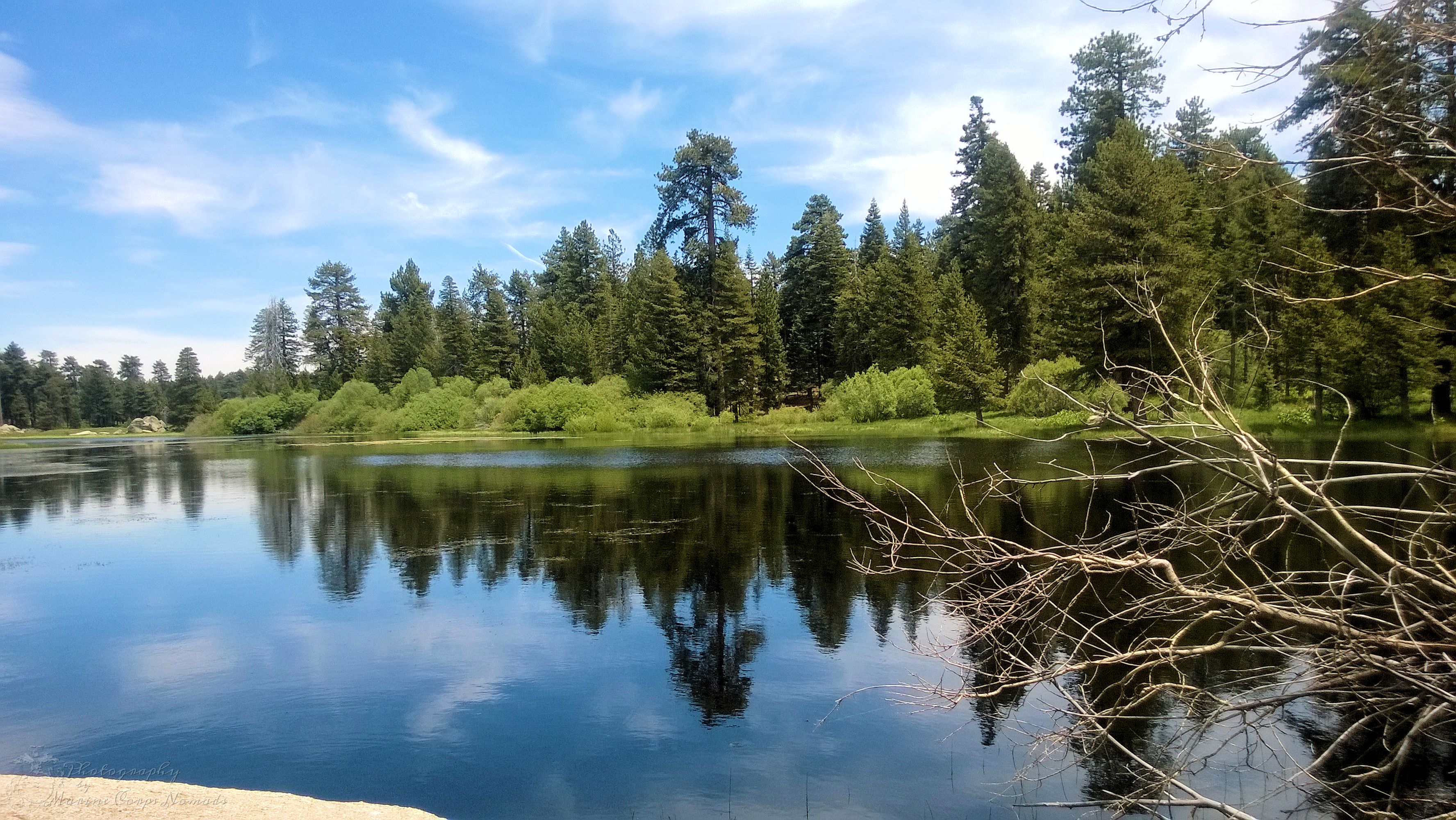 Taking in the beauty of the water