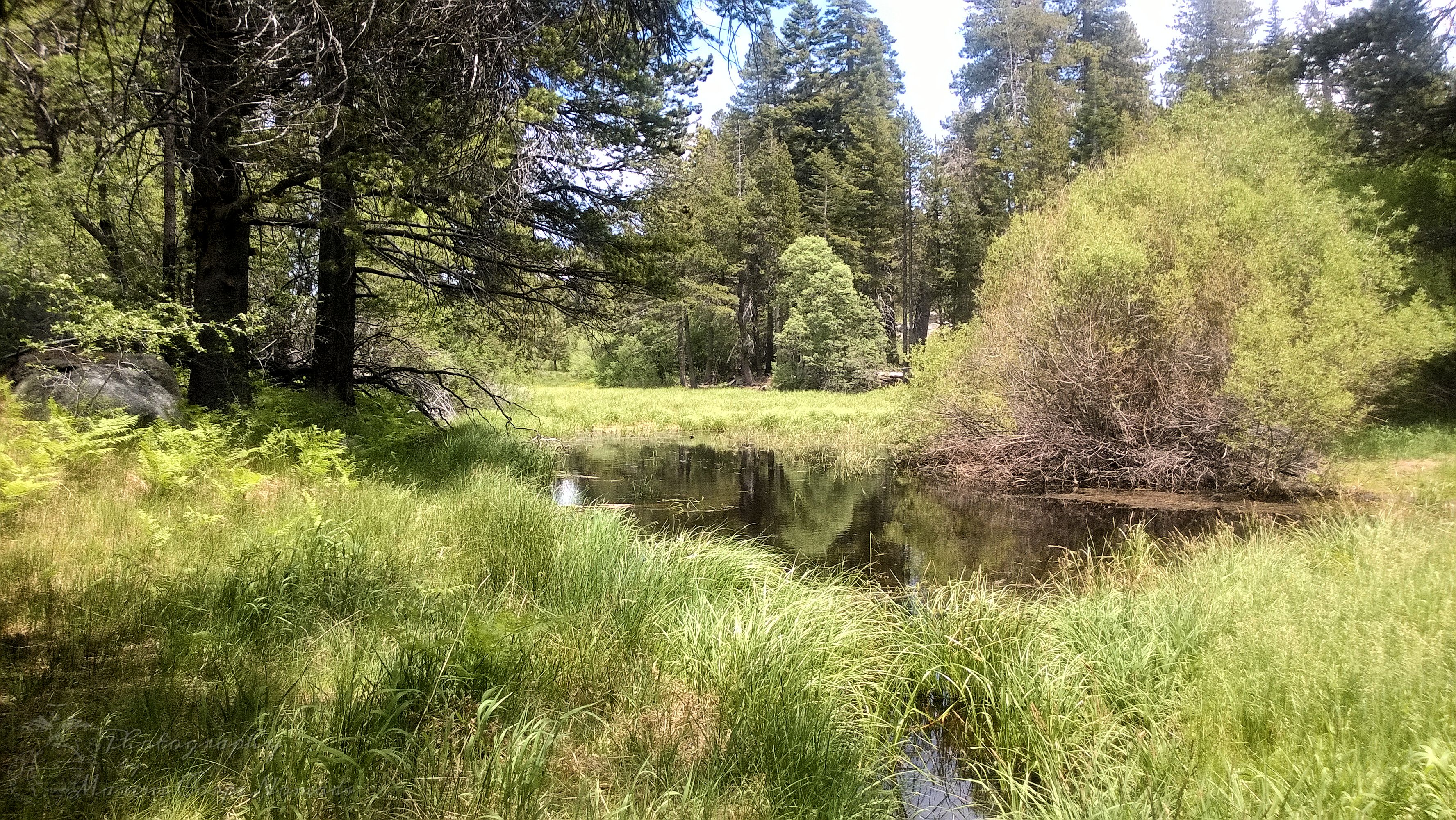 Beautiful wildlife refuge