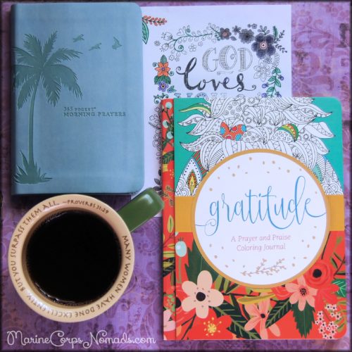 365 Pocket Morning Prayers and Gratitude Journal